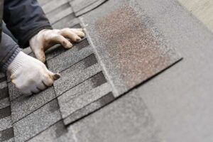 Homeowner examining dark and green growth on shingles from a safe ground-level position.