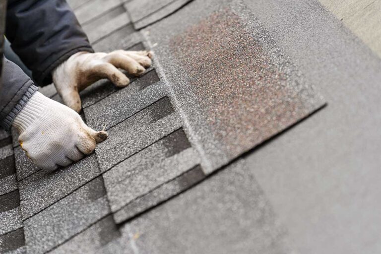 Homeowner examining dark and green growth on shingles from a safe ground-level position.